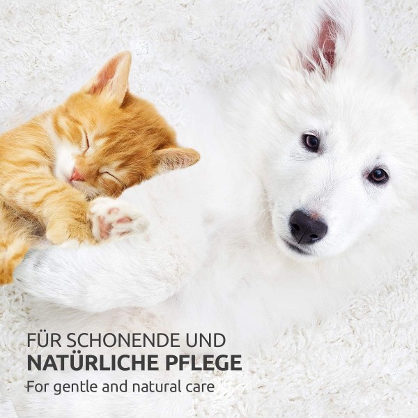 AniForte Paw Balm Dog & Cat 120 ml - 천연 발 보호, 갈라지고 건조한 발 관리, 더운 날씨에 집중적인 발 관리