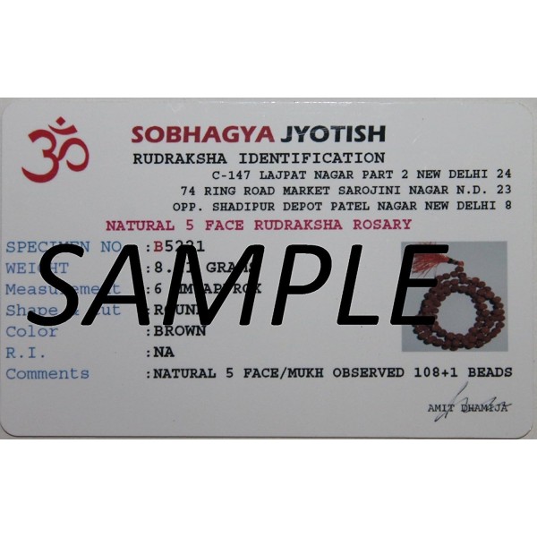 IndianStore4All Lab 인증 6 Mukhi Rudraksha(Rudraksh) 실버 펜던트