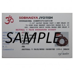 IndianStore4All Lab 인증 6 Mukhi Rudraksha(Rudraksh) 실버 펜던트