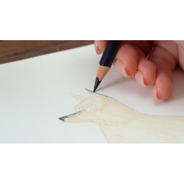 ARTEZA 드로잉 페이퍼 패드, 9 x 12인치, 1팩, 80페이지, 나선형 제본 스케치북, 내구성이 뛰어난 80파운드 종이 시트가 포함된 드로잉 저널, 학생 및 성인을 위한 미술 용품