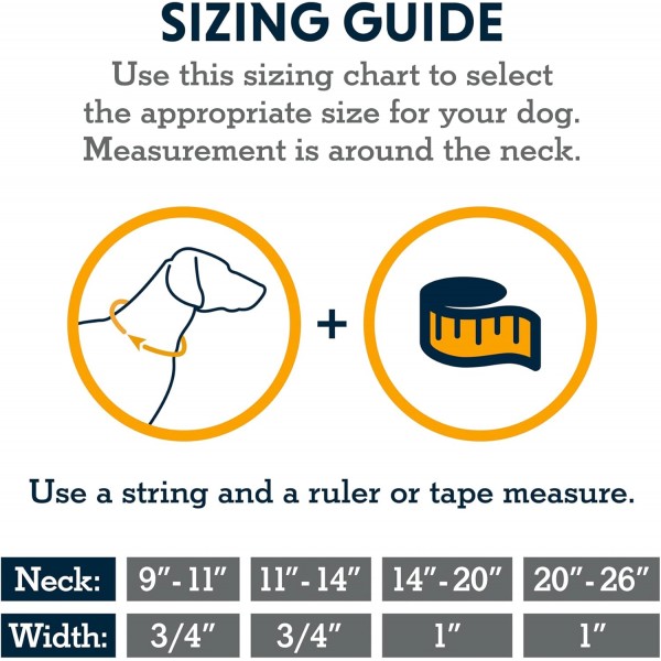 RUFFWEAR Hi & Light Dog Collar, 초강력 및 경량, 강력한 Tubelok 웨빙, 알루미늄 가죽 끈 부착 링 및 버클, 세련된 칼라, Blue Dusk (XS, 23-28cm) 9