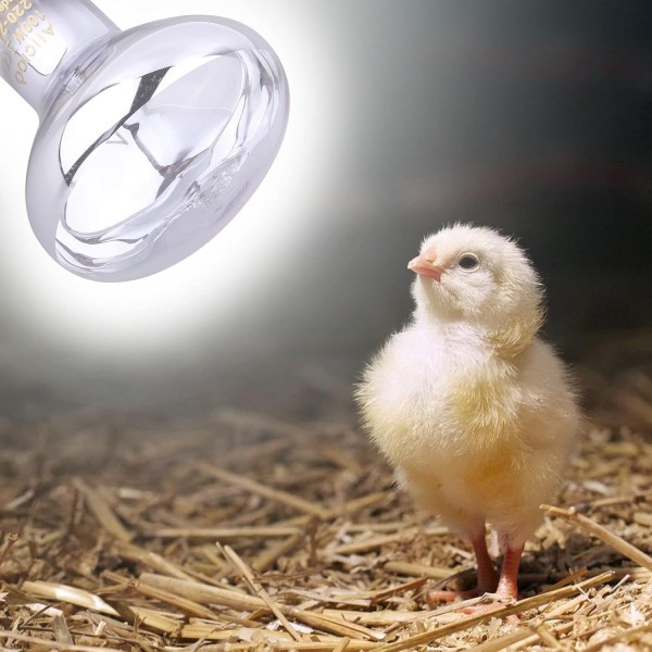 Daylight Basking Spot Lamps - 열 전구 온난화 스펙트럼? 파충류 및 양서류 도마뱀 거북이 뱀 용, 100W 2pack, 흰색 100.0 와트를 위한 자연광 램프 난방