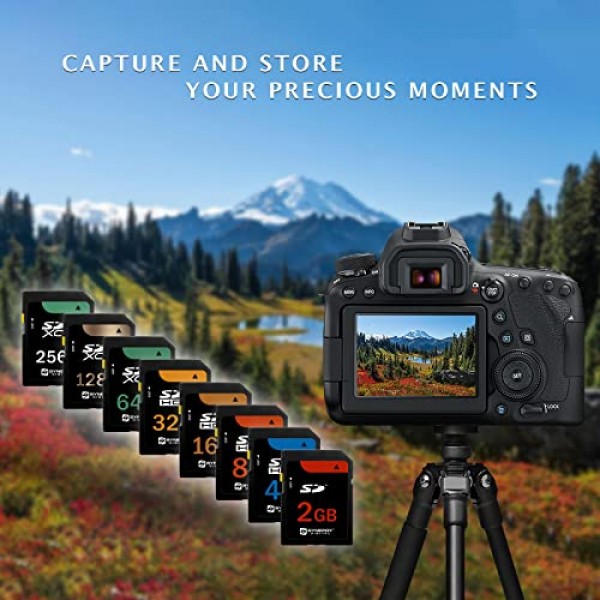 Kodak과 호환되는 Synergy 디지털 메모리 카드 EASYSHARE C663 디지털 카메라 메모리 카드 2GB 표준 보안 디지털(SD) 메모리 카드