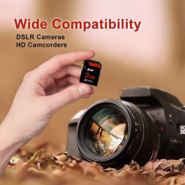 Kodak과 호환되는 Synergy 디지털 메모리 카드 EASYSHARE C663 디지털 카메라 메모리 카드 2GB 표준 보안 디지털(SD) 메모리 카드