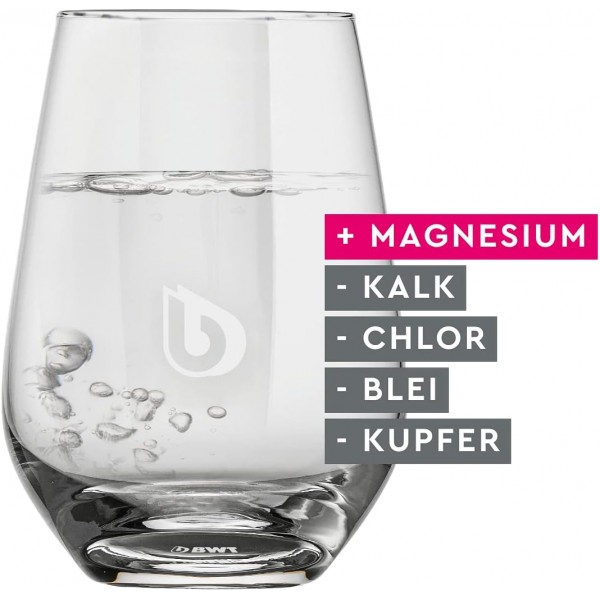 BWT - 814134 - 필터 카트리지 마그네슘 미네랄 워터 - 4개 세트 및 식수 필터 Vida 포함 필터 카트리지 마그네슘 미네랄 워터 1개 I 수동 카운터 I 2.6리터 I 휘발유 4개(1팩) 