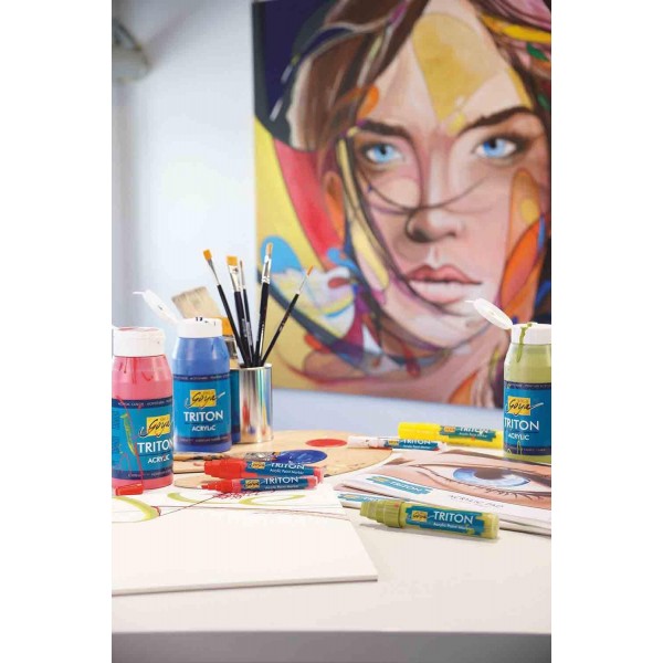 SOLO GOYA 트리톤 아크릴 베이직 Karmin Fl. 750ml