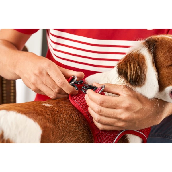 Hunter HILO COMFORT FC바이에른 뮌헨 독 안전 벨트, XXS-XS, 빨강 Harness 빨강 XXS-XS