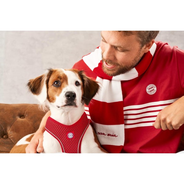 Hunter HILO COMFORT FC바이에른 뮌헨 독 안전 벨트, XXS-XS, 빨강 Harness 빨강 XXS-XS