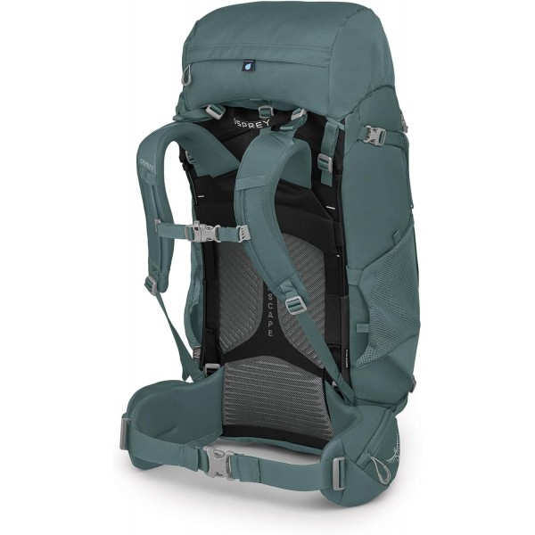 물수리 유럽 Viva 65 즙이 많은 녹색 원 사이즈