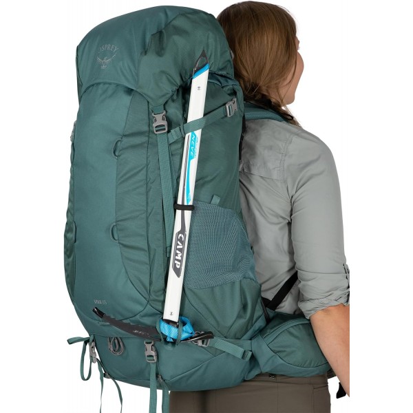 물수리 유럽 Viva 65 즙이 많은 녹색 원 사이즈