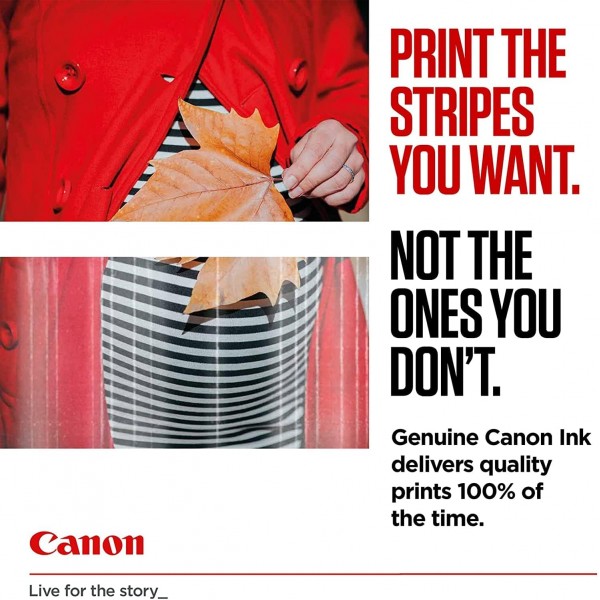 Canon PG 540 및 CL 541 잉크 카트리지 멀티팩 및 잉크 트레이더 무료 재활용품 팩