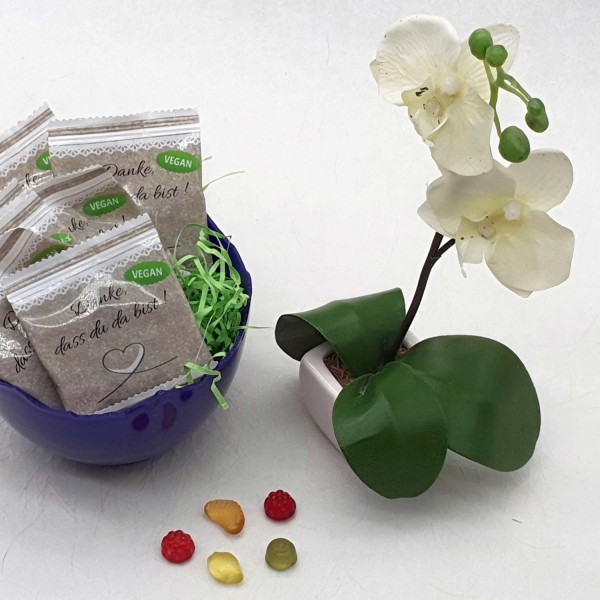 50 VEGAN 구미 베어 백 - 결혼식 선물 - 참석해 주셔서 감사합니다 - 생일 - 확인 - 친교 - 등록 - 침례 비건 50개(1팩)