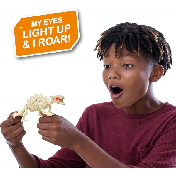 ZURU 38505 공룡 화석 찾기, 다양한 디자인 및 색상