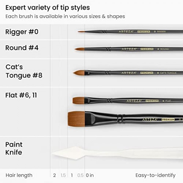 ARTEZA 아크릴 페인트 세트, 35피스 아트 세트, 아크릴 페인트 24개, 브러쉬 5개, 페인트 팔레트 1개, 페인트 칼 1개, 페인팅 패드 3개, 보관 케이스, 초보자 및 화가 지망생