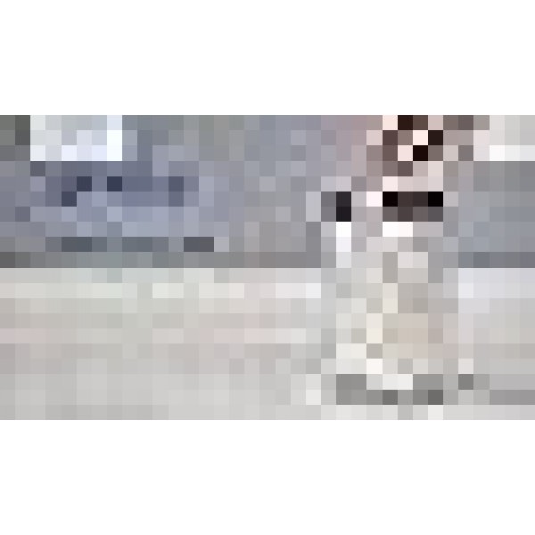 뚜껑이 있는 Grafco 유리 잡다한 병, 4 x 4