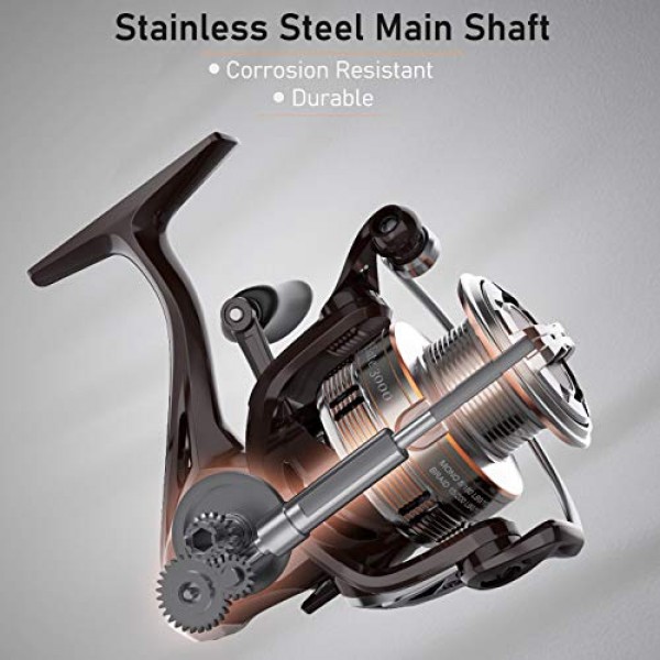 스피닝 릴-Elate 10+1 BB 경량 및 내구성 -스테인레스 스틸 메인 샤프트, 다이캐스팅 핸들 및 이중 양극 산화 스풀-흑연 본체 및 펠트 와셔가 포함된 매우 부드럽고 강력한