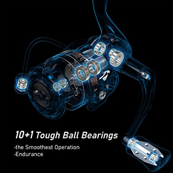 스피닝 릴-Elate 10+1 BB 경량 및 내구성 -스테인레스 스틸 메인 샤프트, 다이캐스팅 핸들 및 이중 양극 산화 스풀-흑연 본체 및 펠트 와셔가 포함된 매우 부드럽고 강력한