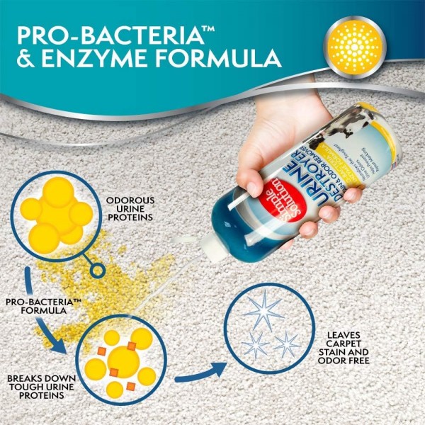 Simple Solution Urine Destroyer Enzymatic Cleaner 애완 동물 얼룩 및 냄새 제거제 (Pro-Bacteria Cleaning Power Single)