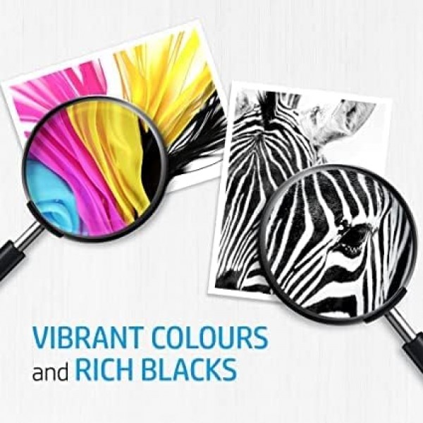 HP 303XL 검정 잉크 카트리지 트윈 팩 및 잉크 트레이더 무료 재활용품 팩