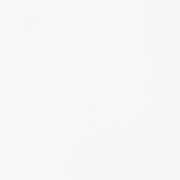 Liquitex 4385432 기본 - 아크릴 색상, 단일색소 아티스트 안료, 내광성, 중간 점도, 보관용 품질, 새틴 마감, 250ml 튜브, 티타늄 화이트 Titanium White - EOL 아크릴 색상 - 250ml 튜