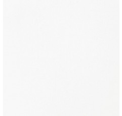 Liquitex 4385432 기본 - 아크릴 색상, 단일색소 아티스트 안료, 내광성, 중간 점도, 보관용 품질, 새틴 마감, 250ml 튜브, 티타늄 화이트 Titanium White - EOL 아크릴 색상 - 250ml 튜