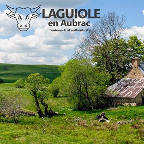 Laguiole en Aubrac 코르크따개 소믈리에 웨이터 칼 3가지 기능 SOM99IBI 스테인레스 스틸 유광