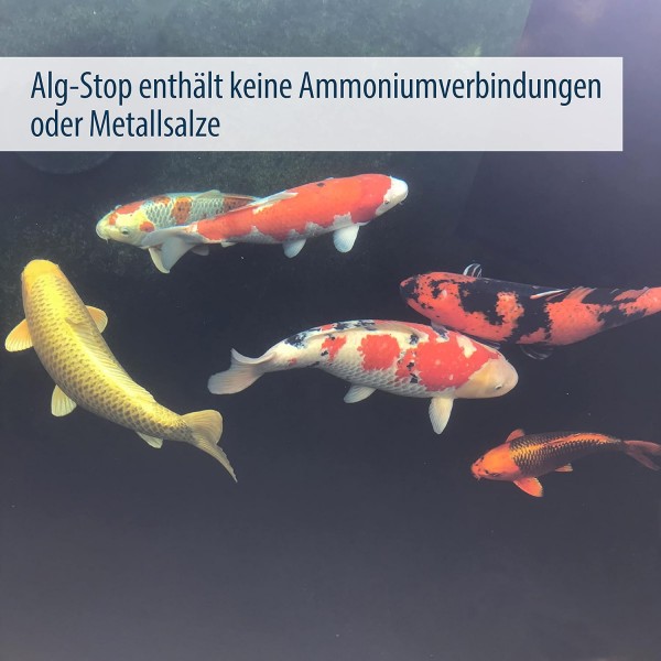 AquaForte Alg-Stop, 2.5kg 항조류, 조류는 여과하기 쉽고 인산염 값을 높이지 않고 물에 빠르게 용해되며 사람, 동식물에 무해 2.5kg 분말 단일