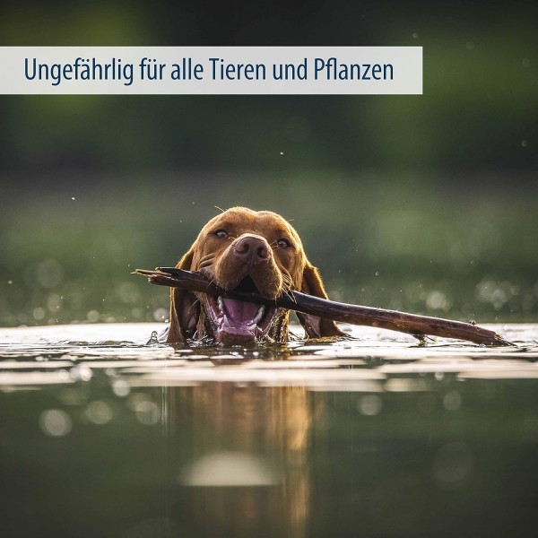 AquaForte Alg-Stop, 2.5kg 항조류, 조류는 여과하기 쉽고 인산염 값을 높이지 않고 물에 빠르게 용해되며 사람, 동식물에 무해 2.5kg 분말 단일