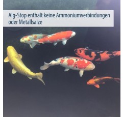 AquaForte Alg-Stop, 2.5kg 항조류, 조류는 여과하기 쉽고 인산염 값을 높이지 않고 물에 빠르게 용해되며 사람, 동식물에 무해 2.5kg 분말 단일