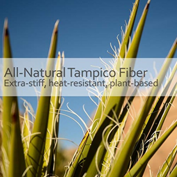 처리되지 않은 너도밤나무로 제작된 Redecker Tampico 섬유 교체 헤드, 2인치