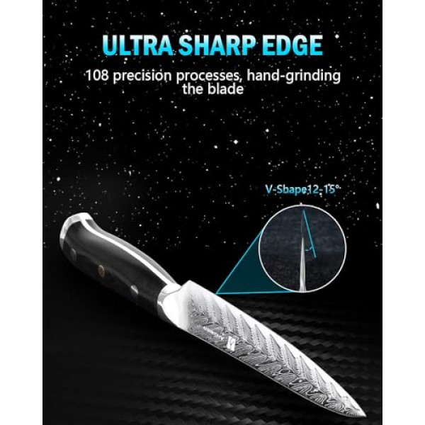 Arisman 일본식 다마스커스 유틸리티 나이프 5인치, VG-10 커팅 코어 67층 다마스커스 강철, 야채와 과일용 풀 탱 인체공학적 G10 손잡이가 있는 울트라 샤프 주방 페티 나