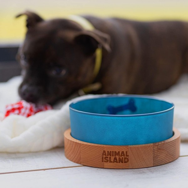 나무 받침대가있는 유리 개 그릇 음식 그릇 강아지 안티 슬링 그릇 유기 페인트로 칠한 강아지 먹이 그릇 강아지 물 그릇 강아지 그릇 유리 그릇 인그레이빙 스탠드 (1