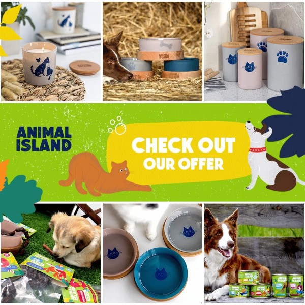 나무 받침대가있는 유리 개 그릇 음식 그릇 강아지 안티 슬링 그릇 유기 페인트로 칠한 강아지 먹이 그릇 강아지 물 그릇 강아지 그릇 유리 그릇 인그레이빙 스탠드 (1