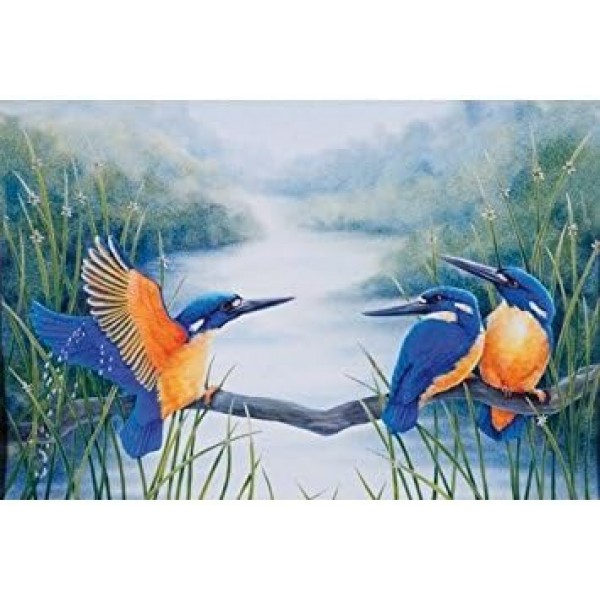 Maxwell & Williams PBD030 Birds of Australia 머그, 커피 머그, 버드 디자인 머그: Azure Fishermen, in Gift Box, 도자기, 1개(1팩)