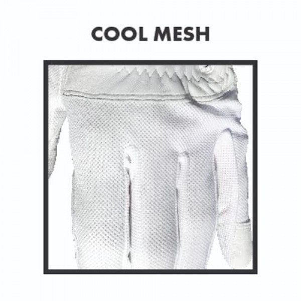 마켓 골든 이글스 골프 장갑 - 팀 골프 전용 원사이즈 왼손 전용