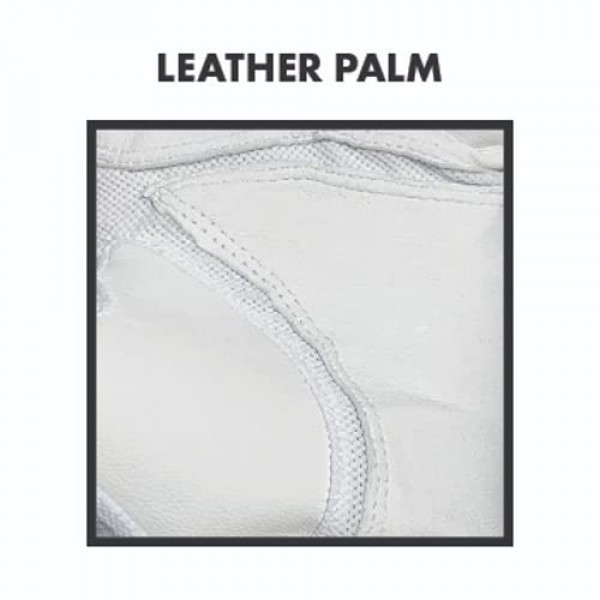 마켓 골든 이글스 골프 장갑 - 팀 골프 전용 원사이즈 왼손 전용