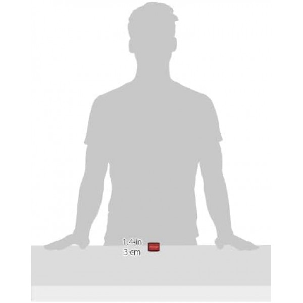 Ranger RGRAITK.64855 AITK64855 조난 보관용 미니 잉크 키트 1 - 선택한 라즈베리/헛간 문/향신료 잼/석화된 호박색 플라스틱 모듬 4 패드