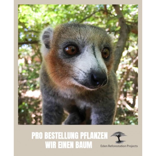 Brandlinger ® 스테이트먼트 후프 귀걸이 925 스털링 실버 주얼리 여성용 주얼리 18 캐럿(은 및 금) 여성 및 소녀용. 후프 이어링의 직경은 27.5mm입니다.