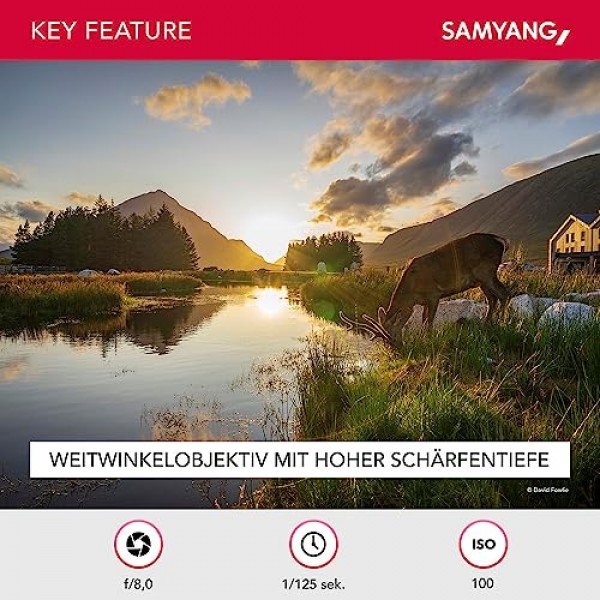 삼양 AF 18mm F2.8 FE(작지만 슈퍼와이드) - 자동 초점 풀 프레임 및 APS-C 고정 초점 렌즈 소니 E 마운트(소니 알파 A9 A7 A6600 A6500 A6400 A6300 A6000 A5100 A5000 Nex 카메라용)