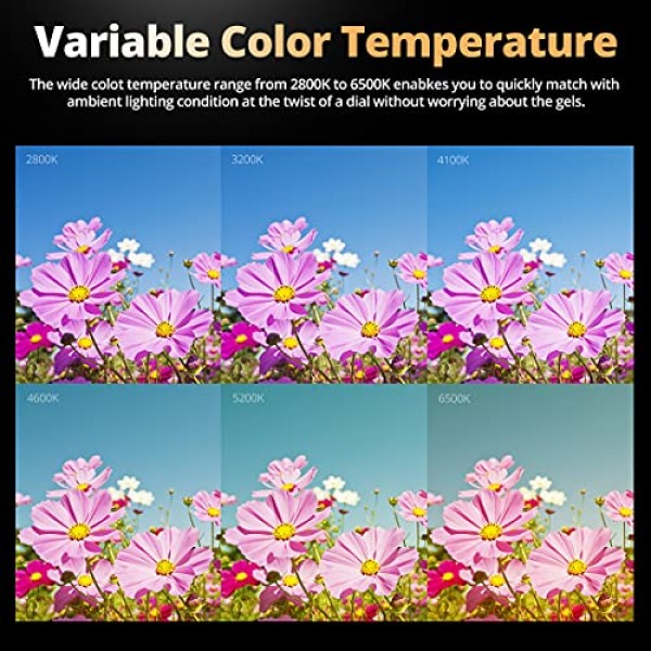 Godox ML60Bi ML60 Bi 60W 이중 색상 LED 조명 무음 모드 휴대용 밝기 조정 지원 리튬 이온 실외 LED 조명(2X NP970 리튬 배터리 포함)