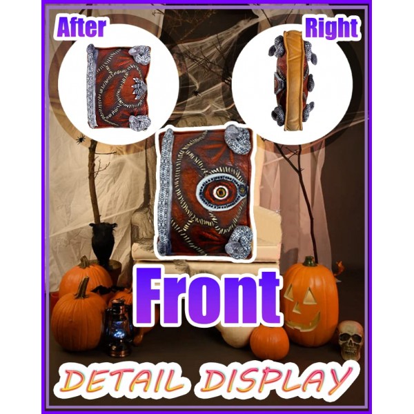 Pocus 마법의 마법 책 봉제 인형, 마법 책 프로펠러 12  8인치 컬러-2