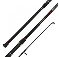 Fiblink 서핑 스피닝 낚싯대 2피스 흑연 여행용 낚싯대(12피트 및 10피트)