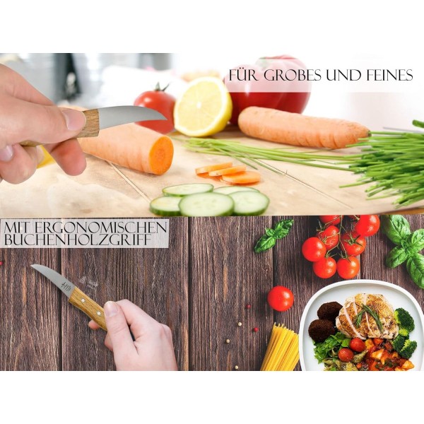 Solingen의 페어링 칼 야채 칼 2개 세트 Vogelschnabel 범용 칼 스테인리스 곡선 칼날 너도밤나무 손잡이가 있는 주방 칼 Made in Germany 주방 작업용 소형 나무 칼 너도밤나무 2