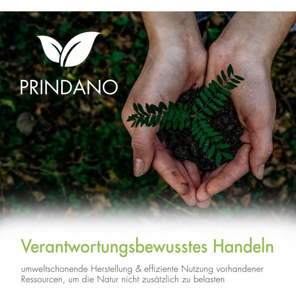 Canon PGI-580 CLI-581과 호환되는 6개의 잉크 카트리지 세트 Prindano | Pixma TS8120 TS8150 TS8151 TS8152 TS8220 TS8240 TS8241 TS8242 TS8250 TS8251 TS8252 TS8350 TS8351 TS8352 TS9150 TS9