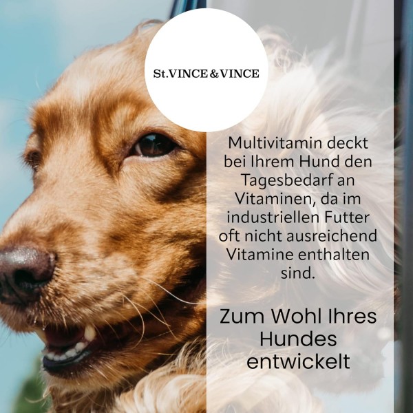 St. Vince Good Drops MULTIVITAMIN VITAL Plus - 반려견을 위한 보조사료 - 반려견의 활력을 증가, 은행나무와 빌로바가 함유된 일일 필수 비타민, 100ml