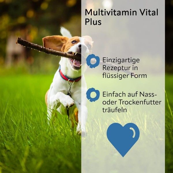 St. Vince Good Drops MULTIVITAMIN VITAL Plus - 반려견을 위한 보조사료 - 반려견의 활력을 증가, 은행나무와 빌로바가 함유된 일일 필수 비타민, 100ml