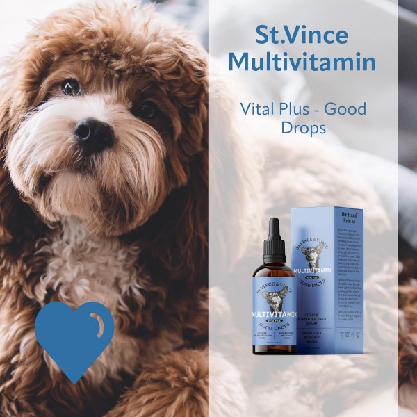 St. Vince Good Drops MULTIVITAMIN VITAL Plus - 반려견을 위한 보조사료 - 반려견의 활력을 증가, 은행나무와 빌로바가 함유된 일일 필수 비타민, 100ml