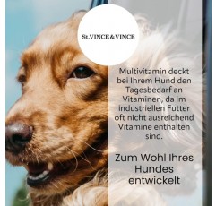 St. Vince Good Drops MULTIVITAMIN VITAL Plus - 반려견을 위한 보조사료 - 반려견의 활력을 증가, 은행나무와 빌로바가 함유된 일일 필수 비타민, 100ml