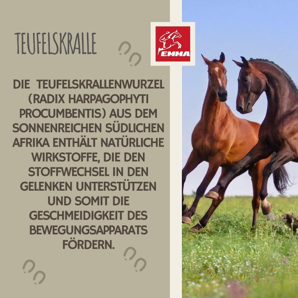 EMMA 악마의 발톱 말 액체 I 악마의 발톱 고용량 I 악마의 발톱 뿌리 악마의 발톱 관절 I 악마의 발톱 말 - 근골격계 말 관절용 말용 분말 대신 액체 1L