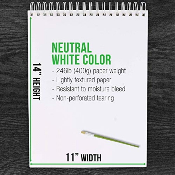 미국 미술품 9인치 x 12인치 프리미엄 초중량 아크릴 페인팅 종이 패드, 246파운드(400gsm), 나선형 제본, 12매 패드(패드 2팩)